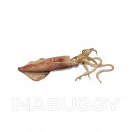 Squid Loligo ~1LB