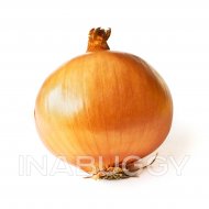 Yellow Onion 1EA