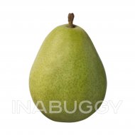 Pear Anjou 1EA