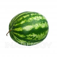Watermelon ~18-22LB 1EA