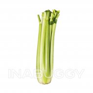 Celery 1EA