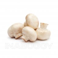 Mushroom White 1EA