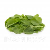 Salad Farm Arugula Baby Organic Bag 0.5LB