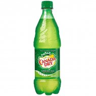 Canada Dry Ginger 500 ml