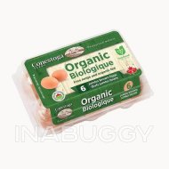 Conestoga Organic Jumbo Brown Eggs, Package of 6