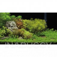 Top Fin® Underwater Garden & Riverbed Reversible Aquarium Background, 36"L x 18"H