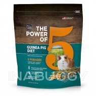 All Living Things® The Power of 5™ Guinea Pig Diet, 4 Lb