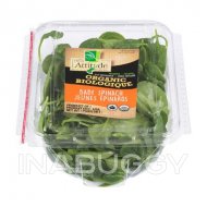 Organic baby spinach ~142 g