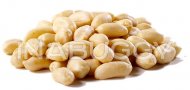 Peanuts Blanched 800G