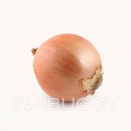 Spanish Onion ~500-600g