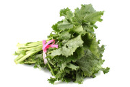 Broccoli Rabe Rapini 1 Ea