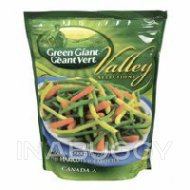 Géant VertMD Valley SelectionsMD Haricots et Carottes, 500 g