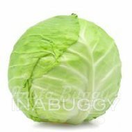 Cabbage Green 1EA
