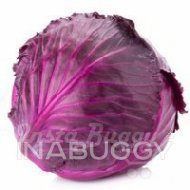 Cabbage Red 1EA