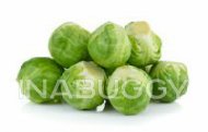 Brussels Sprouts 16OZ