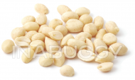Peanuts Blanched Raw ~100 g