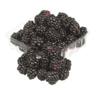 Organic Blackberries 170 g