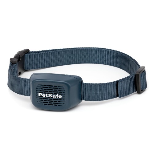 Petsmart 2024 e collars