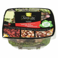 Fresh Attitude Spring Mix Salad Kit ~155 g