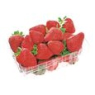 Organic Strawberries 454 g