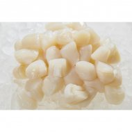 Bay Scallops ~1KG