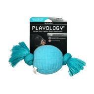 Playology Plush Herding Beef Ball Dog Toy, Small