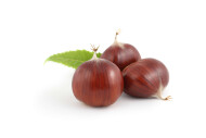 Fresh Raw Chestnuts