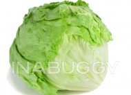 Iceberg Lettuce 1EA