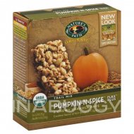 Nature's Path Pumpkin-N-Spice Chewy Granola Bars 210G