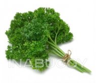 Parsley Organic Curly of USA