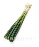 Onion Green Of USA Organic 1EA