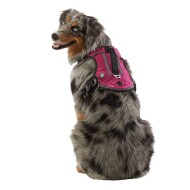 Arcadia Trail™ Reflective Rope Dog Collar, dog Collars
