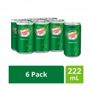 Canada Dry® Ginger Ale 222 mL Mini-Cans 6 Pack