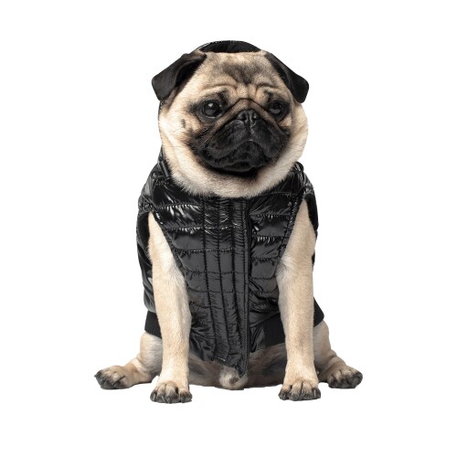 Canada Pooch Puffer Dog Vest - Black - PetSmart, Saskatoon Grocery Delivery