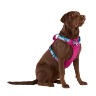 Arcadia Trail Easy Grab Leash