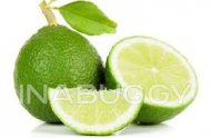 Limes 1EA