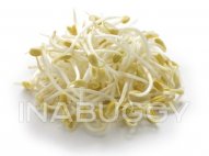 Bean Sprouts 454G