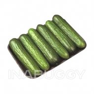 Organic Mini Cucumber 6EA