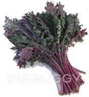 Red Kale 