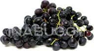 Grapes Blue Black Seedless ~1KG