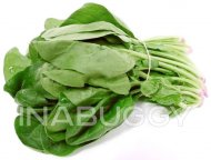 Spinach 1EA