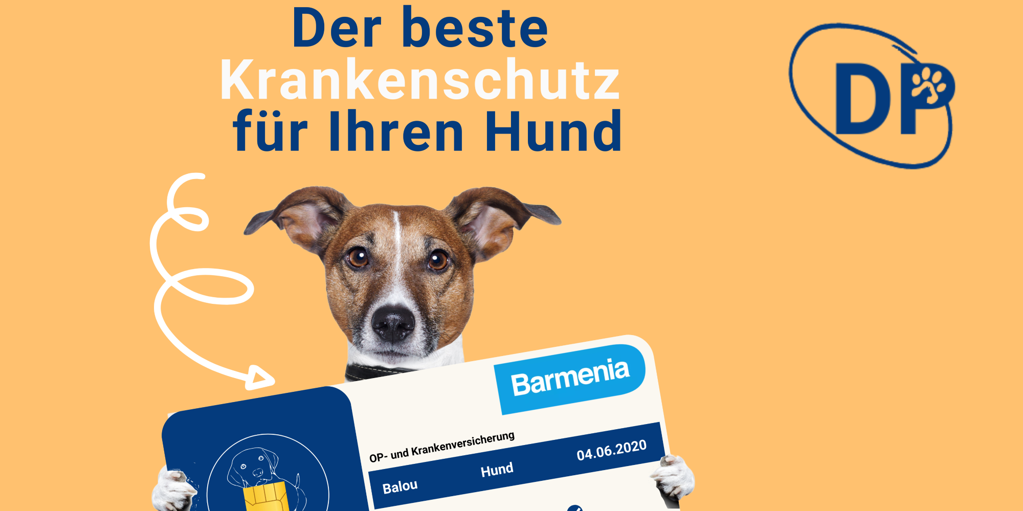 Hundewandschutz - DogProtect  Hunde, Hund und katze, Katzen