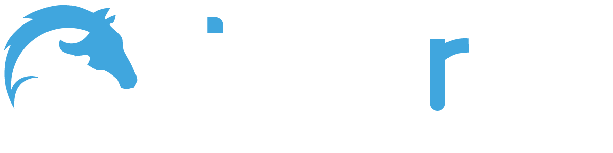 Tieverso Logo