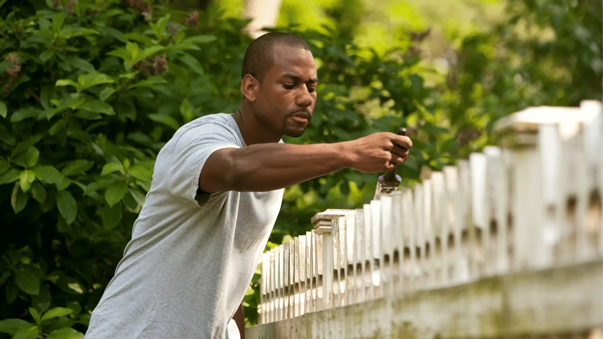 painting fence