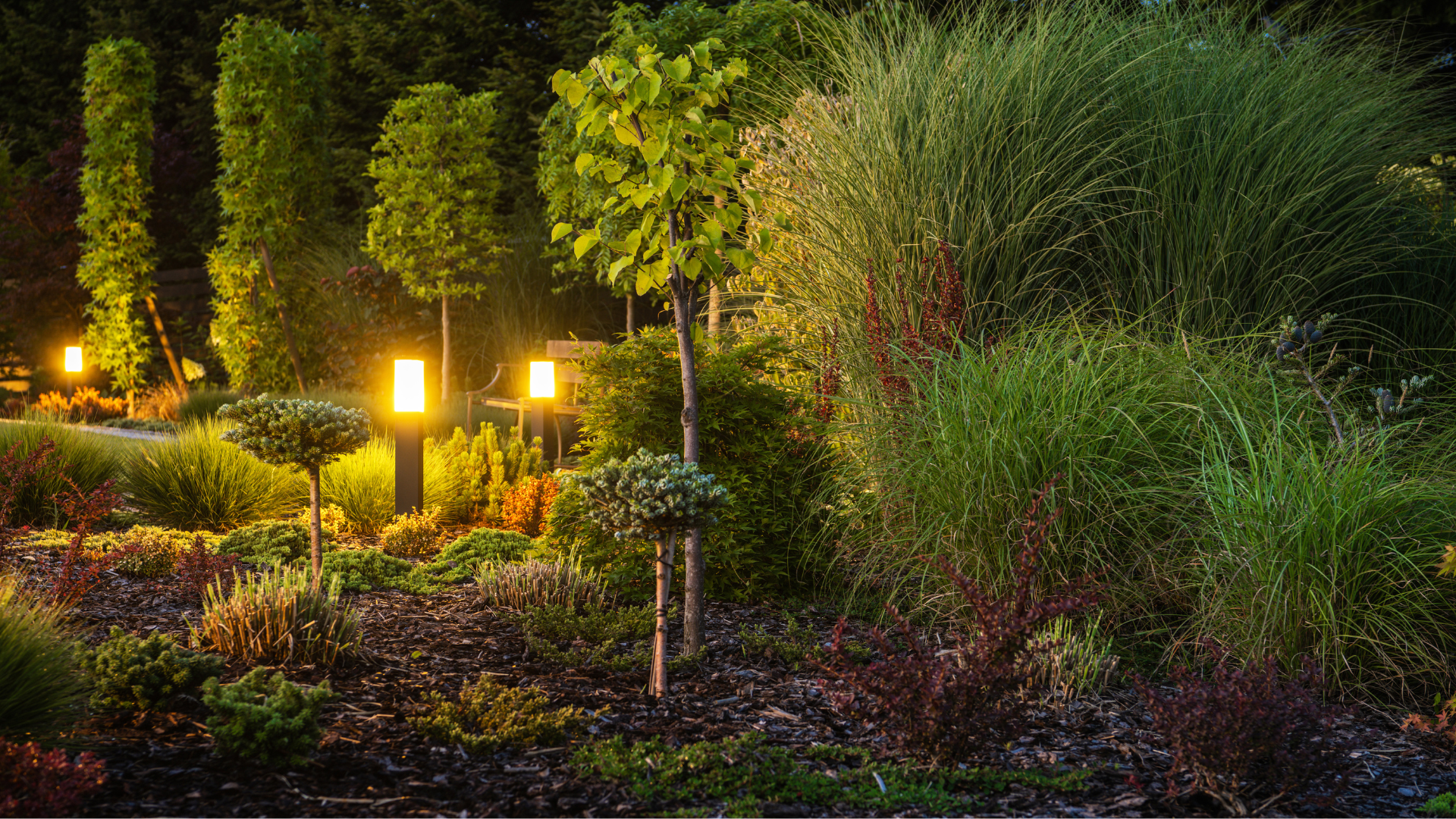 garden light ideas