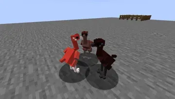 thumbnail for American forger Hatching eggs