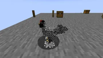 thumbnail for Fancy green egg layer