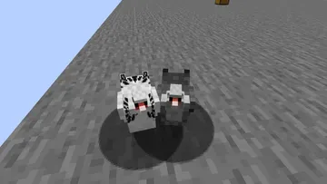 thumbnail for Sussex bantam