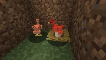 thumbnail for Baldwin Hatching egg