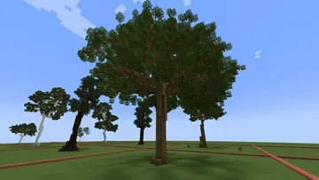 thumbnail for Custom Tree #2 Tall 